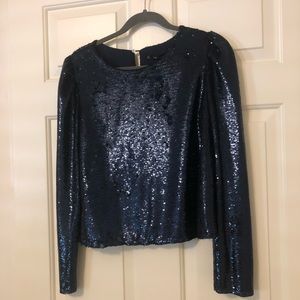 Zara Dark Sapphire Sequin Top